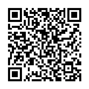 至少每年领到手的愿力珠不用再上缴一部分给师门了二维码生成