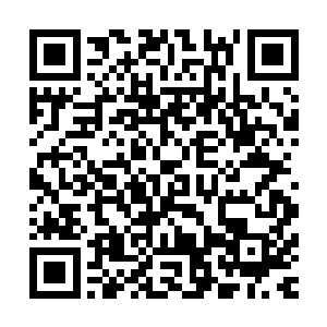至少现在妖族还是认为自己是可以将海澜修真界的阵法破掉的二维码生成