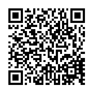 致中市长以及市里其他几位市领导一起去实打实的考察学习二维码生成