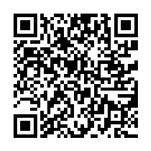 舒嬷嬷其实已经去教导女官那儿打听过刘榕的表现了二维码生成