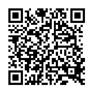 舞之影利用自己的特殊能力在死前留下了讯息传递给了黑胡子二维码生成