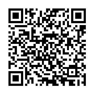 舞动起手中的狼牙棒朝着陈到的面门狠狠地砸了过去二维码生成