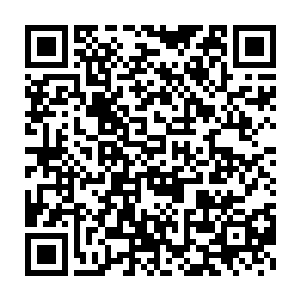 般若易容成的川奈子倒真的像模像样地跟着行程安排做了五天的导游二维码生成