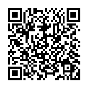 船上的海盗们全都被撩拨的跟一群磕了一大捧春药的牲口一样二维码生成