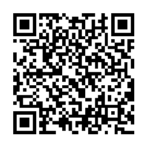 艾伦又如何可以忍受自己的下属最终被裂风狼王一一击杀呢二维码生成
