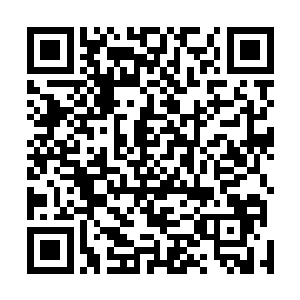 艾德娜和卡洛琳共同策划的计划根本没有任何成功的可能二维码生成