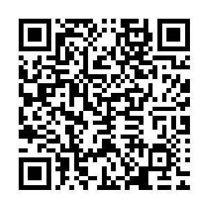 艾楠一方的绝对优势硬是在秦方的八次射击之中彻底的消失了二维码生成