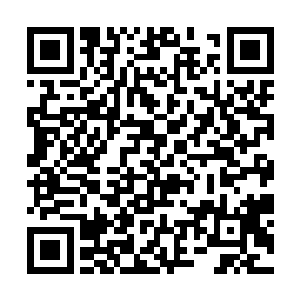 艾薇儿淡淡一笑指了指带着人皮面具的苏凡顿时说道二维码生成