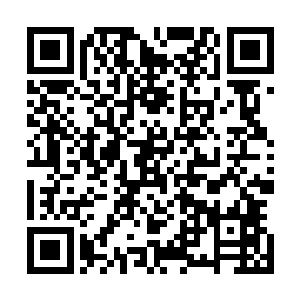 节目在舟不平神色一脸笃定又一口咬定自己的推测下结束了二维码生成