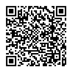 芊芊喜欢的基本上青鸾都喜欢――自己除外――估计青鸾也会喜欢甄宓这小姑娘二维码生成