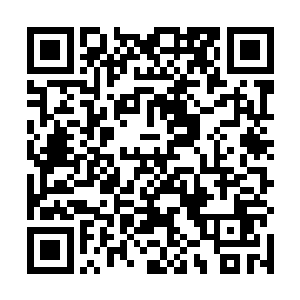 芝安市的街头巷尾依旧在议论着这个旅游开发投资计划二维码生成