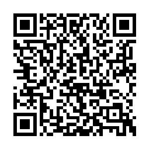 芮阁把上次医院发生的案件完完整整地看了一遍二维码生成