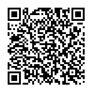 花丛中……无数的小动物便如是看到了太古巨兽一般纷纷慌慌张张的急疾逃窜二维码生成