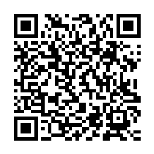花家不过是在徐家败落之后才爬到沅州城第二大家族的地位上的二维码生成