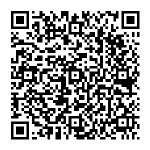 花果山妖城利用哨塔连结而成的一个如同拒流阵的法阵一直都保持着开启的状态将整个妖城严严实实地盖住二维码生成