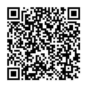 花田眼中神色闪动--白小飞和他的尸兄朋友们显然是反目成仇了二维码生成