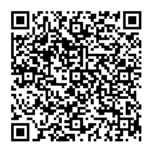 花草树木以及那些生活于雄峰之上的各种动物和灵兽便都在这可怕剑气和璀璨金光的激荡中被绞成了碎片二维码生成