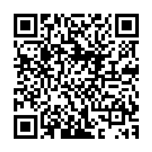 花蕾之间有一颗一颗的小小的缩小版的珍珠一样的椭圆形物体二维码生成