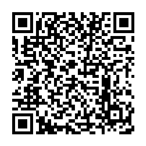 花间拿着注满紫色液体的细管子不放心的看着流墨墨又提醒了一遍二维码生成