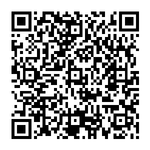 苍冈次郎到目前为止已经用出了六七次肌体石化的忍术来抵挡这群人炸弹爆炸的余波二维码生成