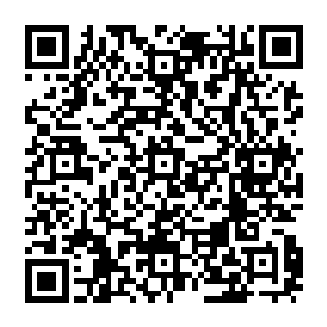 苍白　已经化作了人形　身上黑雾缭绕　显然是尸王血脉在慢慢的运行　自动的护主二维码生成