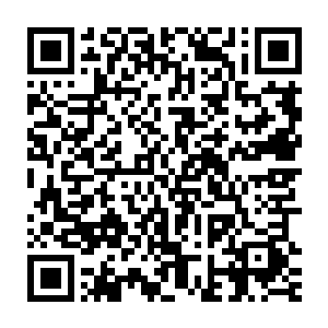 苏凡再看了看周围全是粗细不一的树桩子顿时明白了这阿牛的训练方式二维码生成