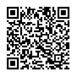 苏凡回来的消息一旦走漏出去很有可能会引起什么不必要的麻烦二维码生成