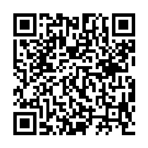 苏凡已经明显能够感觉到海登的攻击速度已经到了他的极限二维码生成