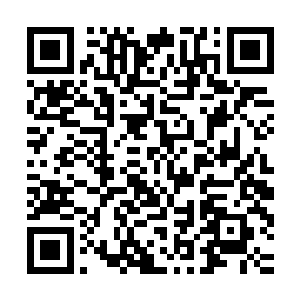 苏凡根本不担心林家的反扑能够对不凡集团造成什么真正的伤害二维码生成