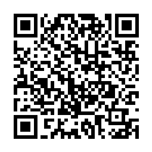 苏凡此时的表现分明就就是被吉尔的话激怒的样子二维码生成