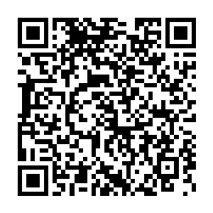 苏凡没有在逼供一些为何要暗杀这些在苏阳市的官员和社会名流之类的二维码生成