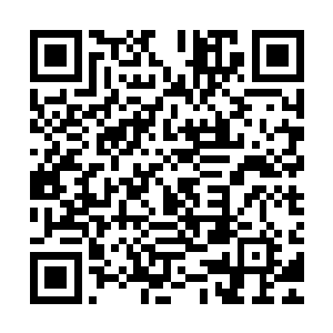 苏凡没道理一直放任这样一个家伙像毒瘤一样存活在这个世界上二维码生成