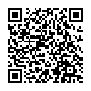 苏凡用了很大的自制力才克制住了上前给他一个暴栗的想法二维码生成