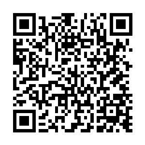 苏凡相信凭着南宫璟宸的那副头脑绝对不止当初那般简单二维码生成