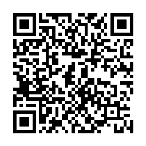 苏凡相信就算是威廉背后的麦克唐纳家族也不敢轻易动毕尔二维码生成
