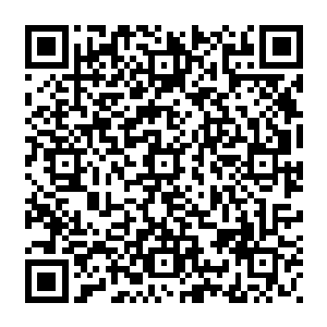 苏凡看完之后得出来的结论和任阳辉看完之后得出来的结论虽然不能说是完全相同二维码生成