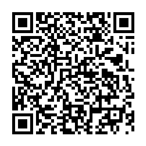 苏华衍也觉得这位小克弟弟真是雄壮威武霸气嚣张的不可一世啊……二维码生成