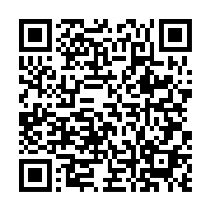 苏嫣这怯生生的样子让季宸渊那冰冷的心不由得微微动容二维码生成