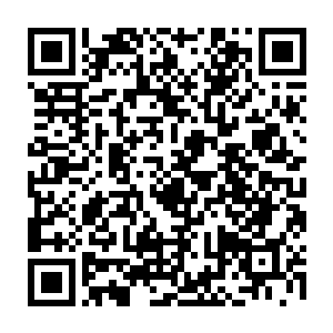 苏子的腿被秦洛医治康复的消息便在华夏中医代表团的团员之间流传开来二维码生成
