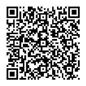 苏小小也没办法给眼前这诡异的一幕得出一个最为合理的解释……而在她思绪万千的时候二维码生成