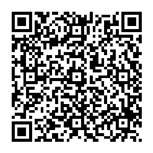 苏小爱也想到了上次阮卿卿因为阮志航的死而犯精神病的事情……难不成阮卿卿又犯病了二维码生成