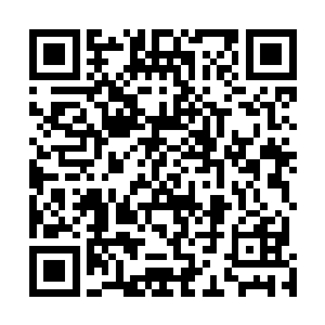 苏小爱去君无妄的微博看粉丝们激动的骂阮卿卿和君无妄二维码生成