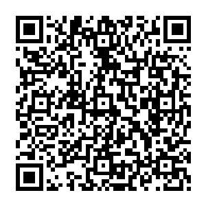 苏小爱和君子宴两人有点儿不敢相信的眨眨眼……他们本来以为会被君无妄给胖揍一顿二维码生成