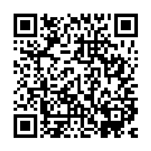 苏小爱回娘家给苏之亦和何美芸说了他们要到北城去过年的事情二维码生成