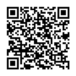 苏小爱最后还是决定少安勿找……不管是不是温月心设计的二维码生成