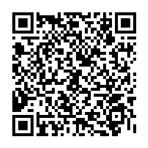 苏小爱看着眼前的宴维……今天宴维是到他们公司来商讨一些工作上的事情的二维码生成