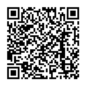 苏小爱终于……她还是没有勇气……继续盯着手机上的一串电话号码二维码生成