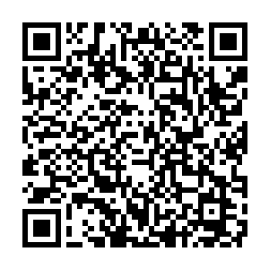 苏小爱觉得君白芬芳和君木横的变化真的很大……以前他们非常讨厌自己二维码生成