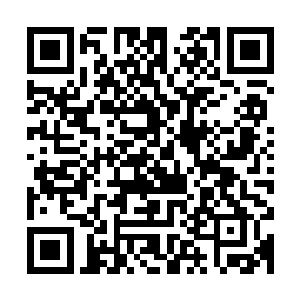 苏幕遮和俞侬侬的背叛对薄荷的刺激在酒精的作用下发挥到极致二维码生成