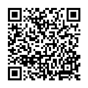 苏弯弯自然知道这个时间段他们在一起出现一定会被娱记乱说二维码生成